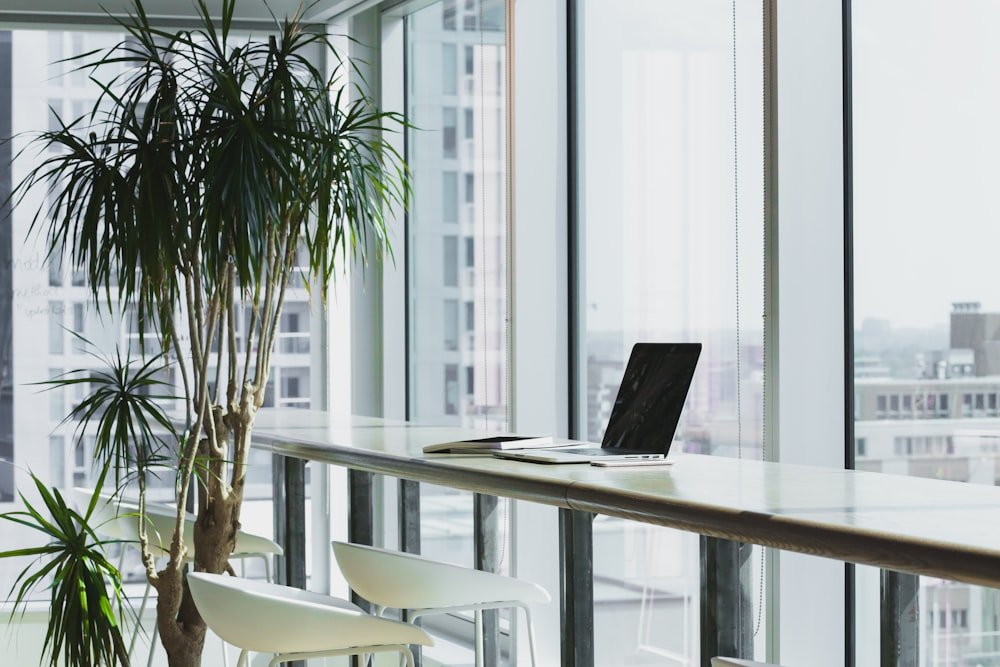 Corporate Office Interior